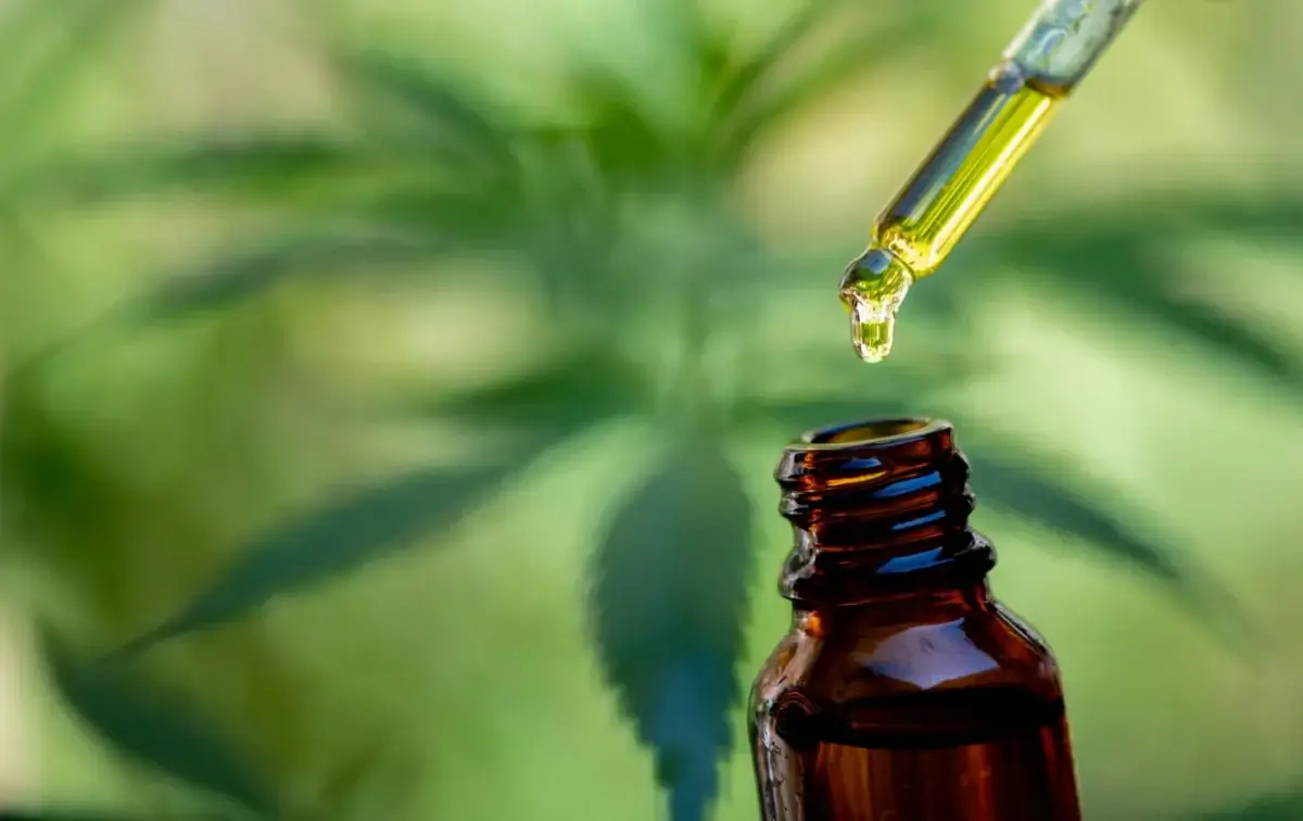 submit hemp testing sample